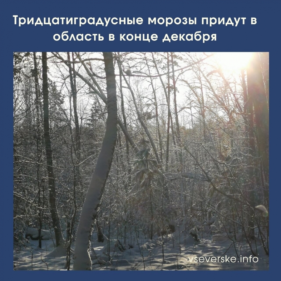 Тридцатиградусные морозы придут в область в конце декабря Тридцатиградусные морозы придут в область в конце декабря