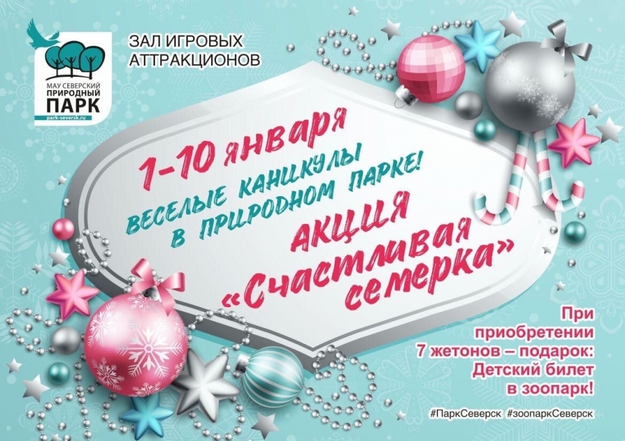 В новогодние каникулы – спешите в зал игровых аттракционов! В новогодние каникулы – спешите в зал игровых аттракционов!