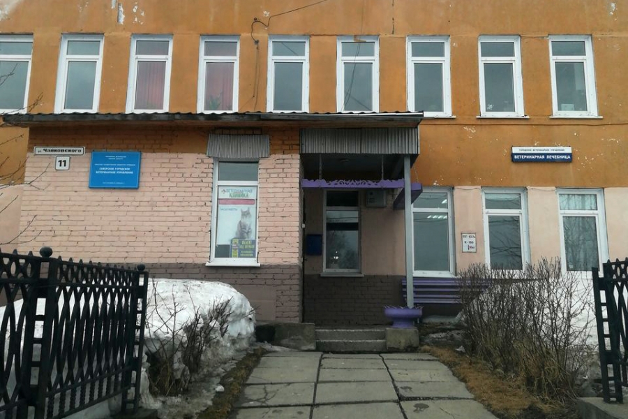 Северское городское ветеринарное управление информирует о смене графика работы Северское городское ветеринарное управление информирует о смене графика работы