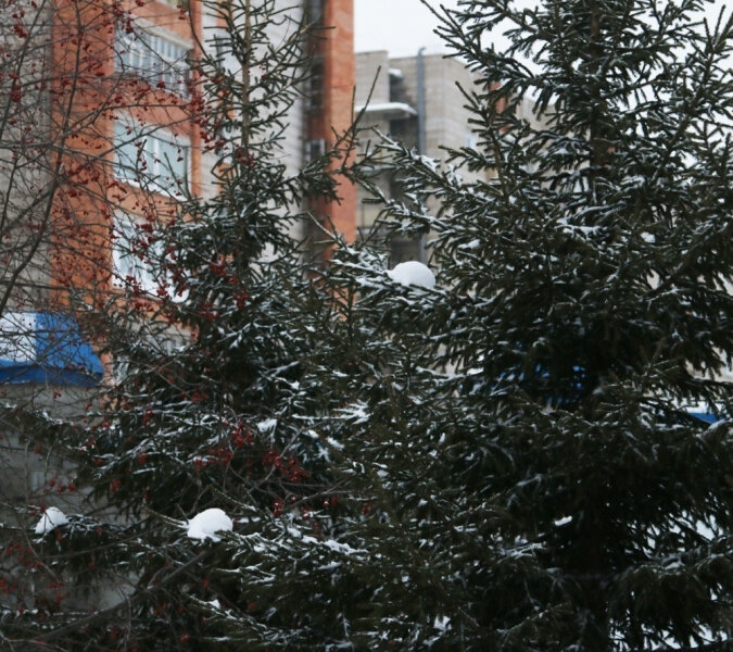 Полицейские напоминают об ответственности за нарушение законодательства об охране окружающей среды Полицейские напоминают об ответственности за нарушение законодательства об охране окружающей среды