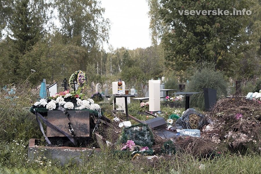 Население Северска сократилось на 661 человека Население Северска сократилось на 661 человека