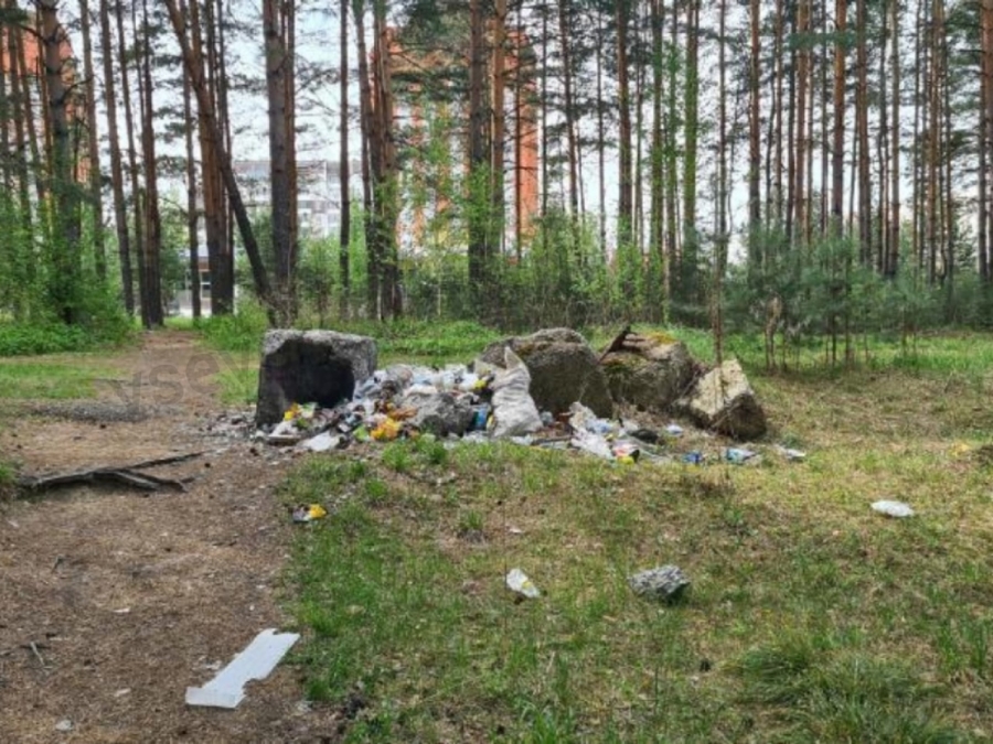 Письмо в редакцию Письмо в редакцию