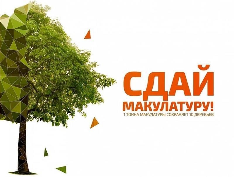135 тонн макулатуры собрали школьники Томска и Северска в ходе весенней экоакции «Спаси дерево» 135 тонн макулатуры собрали школьники Томска и Северска в ходе весенней экоакции «Спаси дерево»
