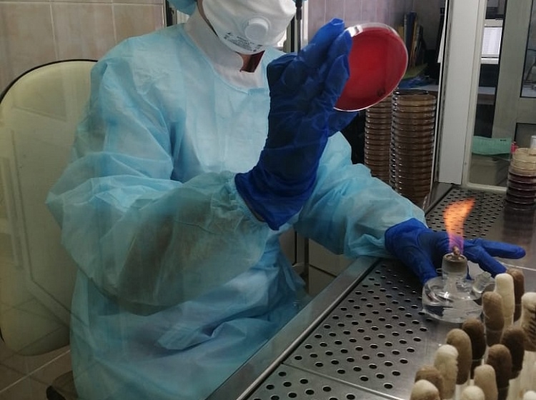 Отдел лабораторной диагностики - на страже против COVID-19 Отдел лабораторной диагностики - на страже против COVID-19