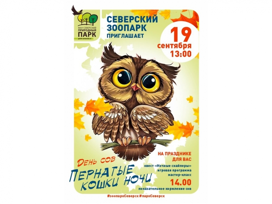 Пернатые кошки ночи, или День Сов Пернатые кошки ночи, или День Сов