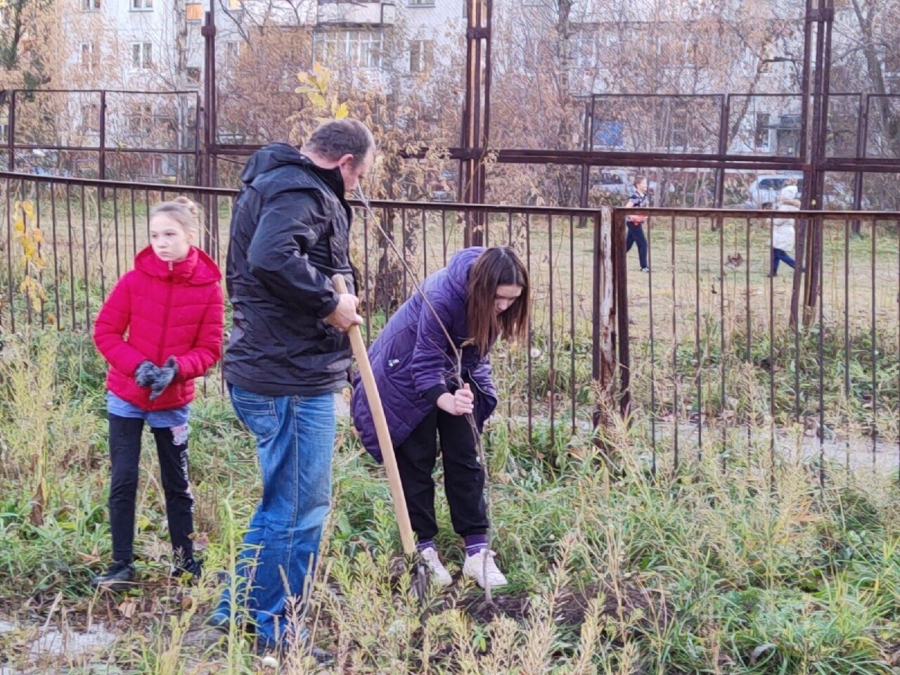 Посади своё дерево Посади своё дерево
