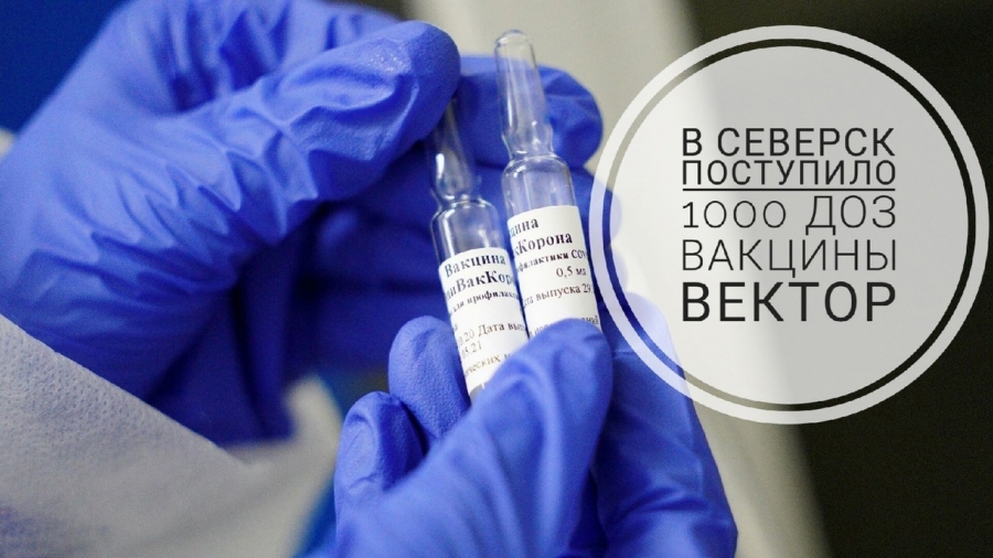 В Северск поступила вакцина «ЭпиВакКорона» В Северск поступила вакцина «ЭпиВакКорона»
