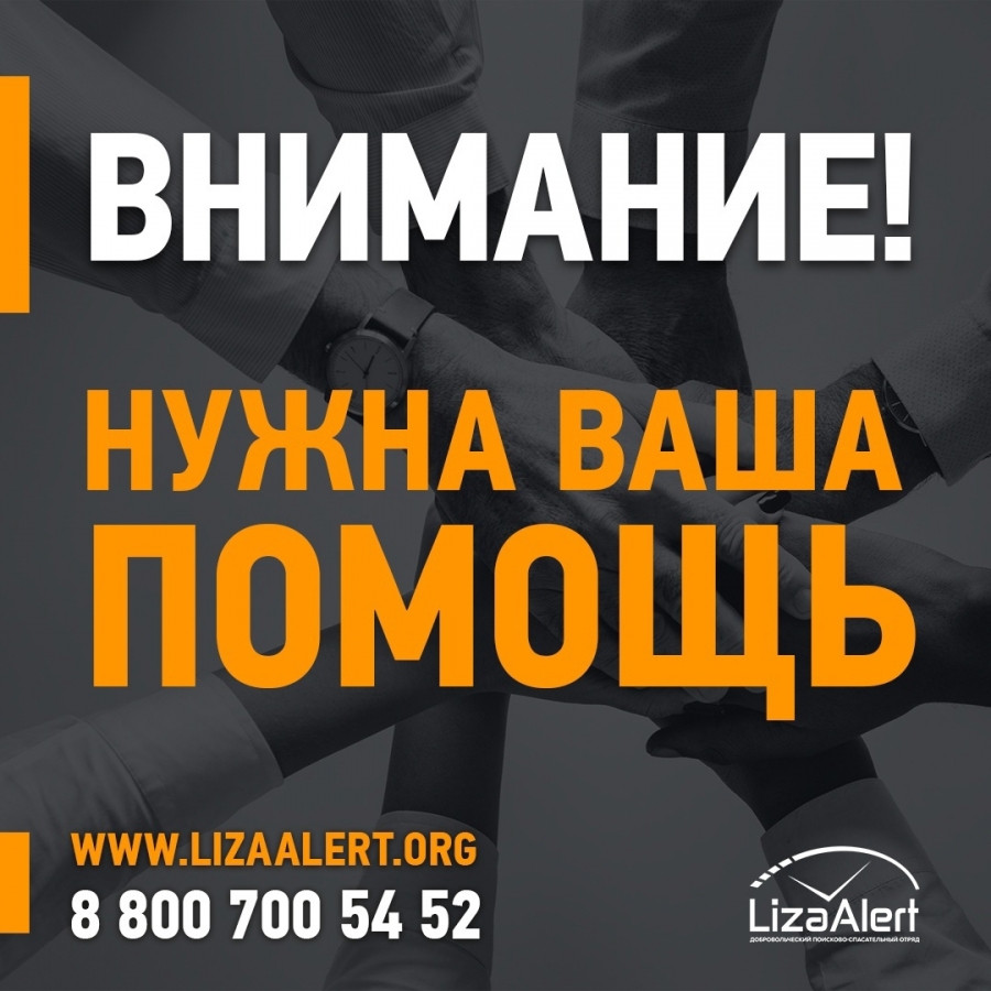 ЛизаАлерт обращается к автомобилистам ЛизаАлерт обращается к автомобилистам