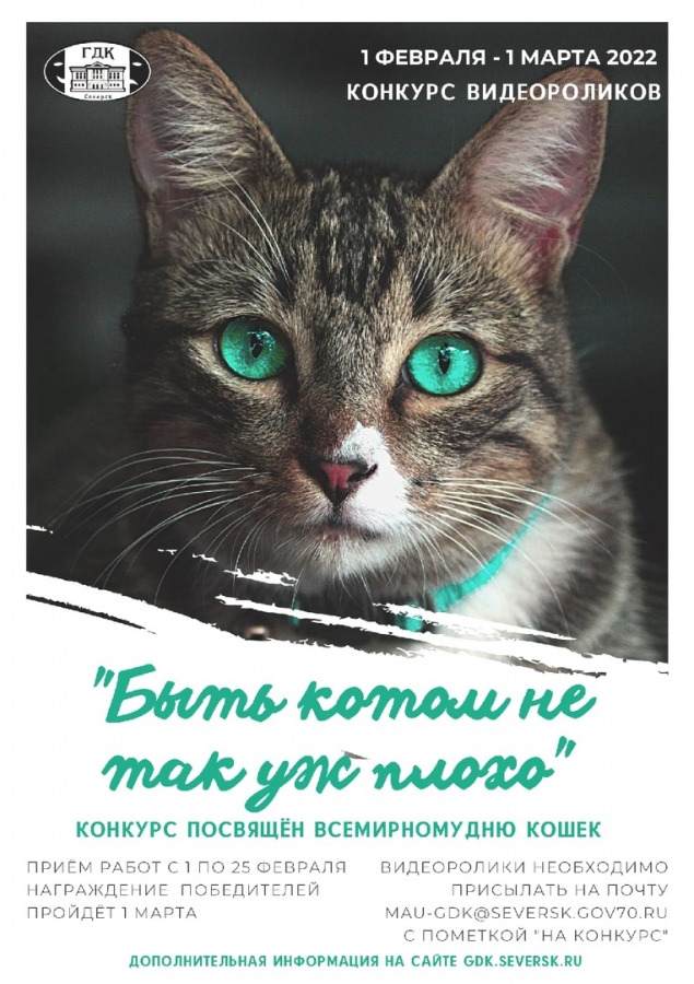 Быть котом не так уж плохо Быть котом не так уж плохо