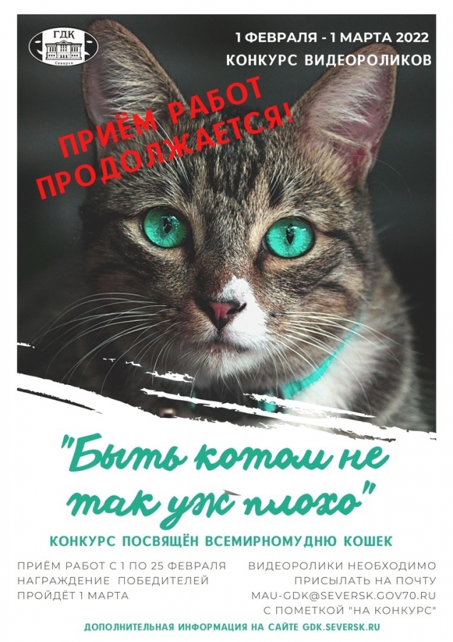 Продолжается прием заявок на конкурс видеороликов «Быть котом не так уж плохо» Продолжается прием заявок на конкурс видеороликов «Быть котом не так уж плохо»