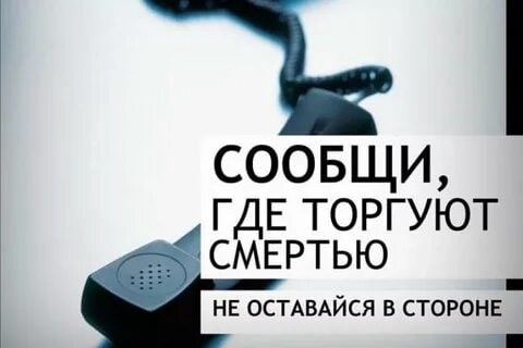 Сегодня на территории ЗАТО Северск Томской области стартовала Общероссийская акция «Сообщи, где торгуют смертью» Сегодня на территории ЗАТО Северск Томской области стартовала Общероссийская акция «Сообщи, где торгуют смертью»