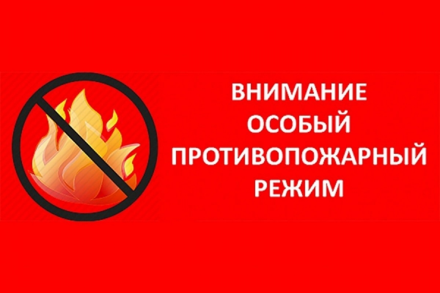 В Томской области введен особый противопожарный режим В Томской области введен особый противопожарный режим