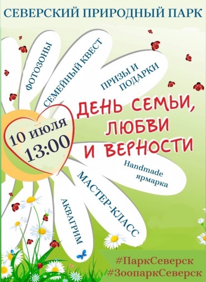 Ромашки для любимых Ромашки для любимых
