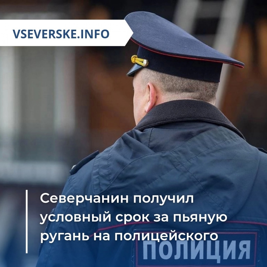 Северчанин получил условный срок за пьяную ругань на полицейского Северчанин получил условный срок за пьяную ругань на полицейского