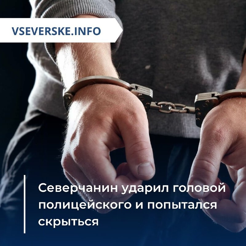 Северчанин ударил головой полицейского и попытался скрыться Северчанин ударил головой полицейского и попытался скрыться