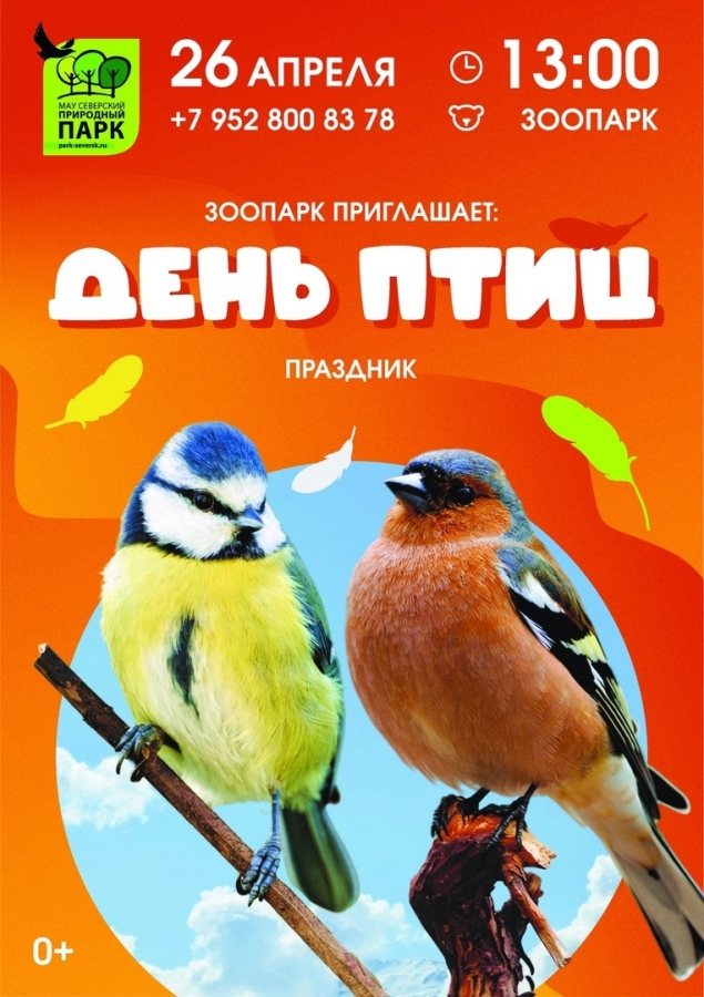 День птиц День птиц