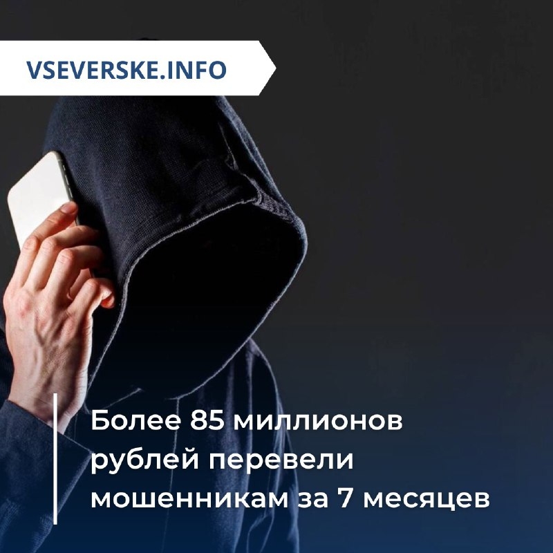 Более 85 миллионов рублей перевели мошенникам за 7 месяцев Более 85 миллионов рублей перевели мошенникам за 7 месяцев
