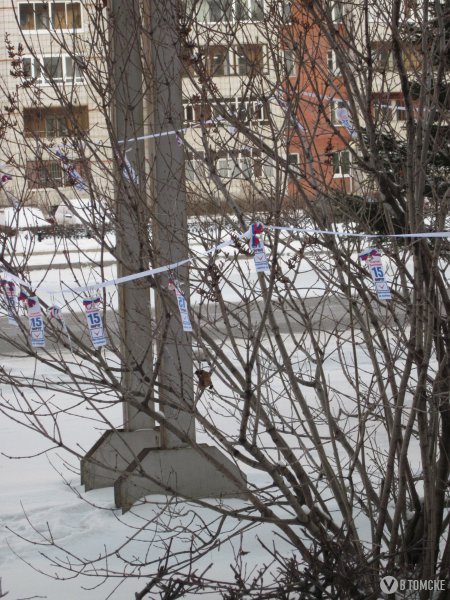 «Звонаревские колокольчики» приглашают на выборы «Звонаревские колокольчики» приглашают на выборы