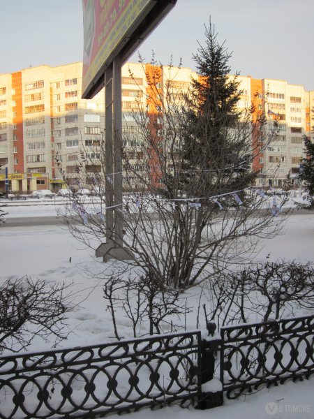 «Звонаревские колокольчики» приглашают на выборы «Звонаревские колокольчики» приглашают на выборы