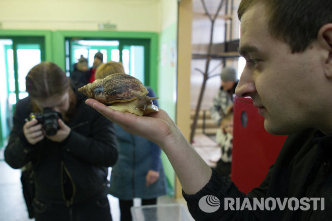 Посетители зоопарка смогли потрогать змей, улиток и тараканов Посетители зоопарка смогли потрогать змей, улиток и тараканов