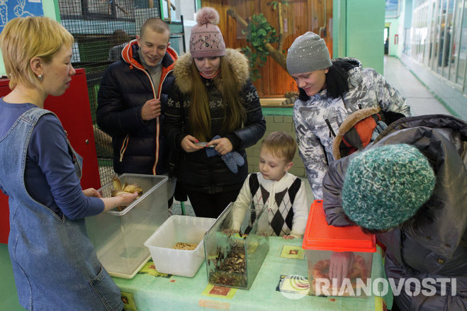Посетители зоопарка смогли потрогать змей, улиток и тараканов Посетители зоопарка смогли потрогать змей, улиток и тараканов