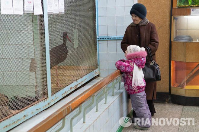 Посетители зоопарка смогли потрогать змей, улиток и тараканов Посетители зоопарка смогли потрогать змей, улиток и тараканов