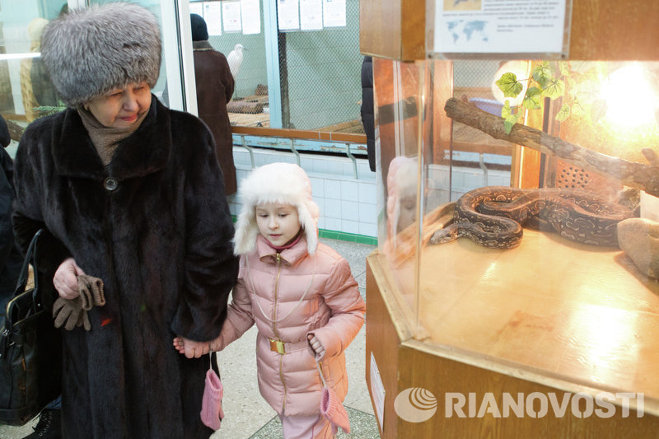 Посетители зоопарка смогли потрогать змей, улиток и тараканов Посетители зоопарка смогли потрогать змей, улиток и тараканов